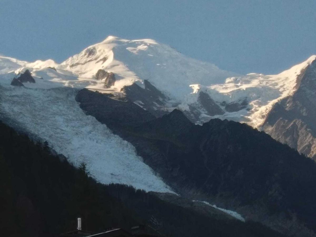 霞慕尼Cocon Douillet Au Pied De L'Aiguille Du Midi公寓 外观 照片